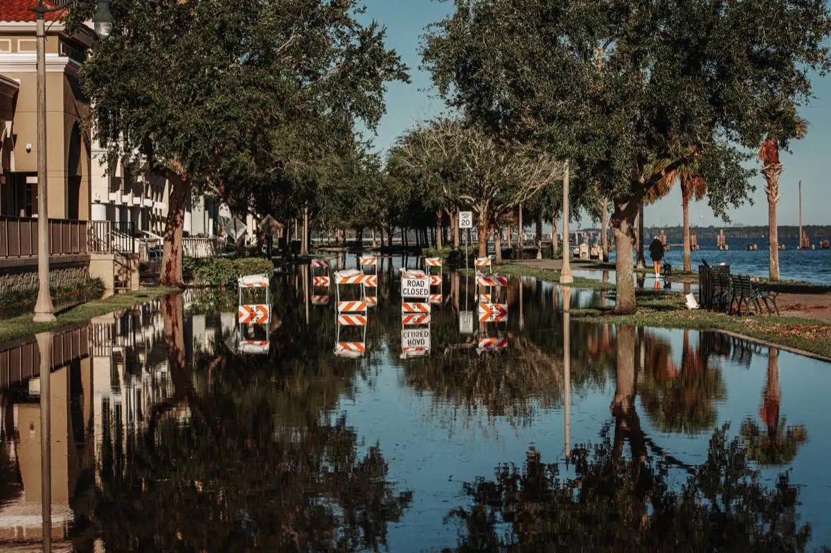 Sewage Backup Cleanup in Sugar Land, TX